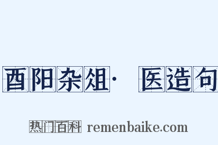 酉阳杂俎·医造句是什么意思的图片